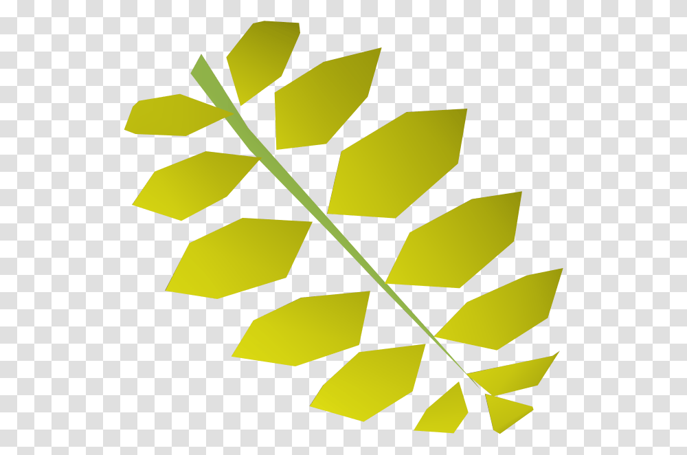 Curry Leaf Curry Tree, Plant, Fern, Arrow Transparent Png