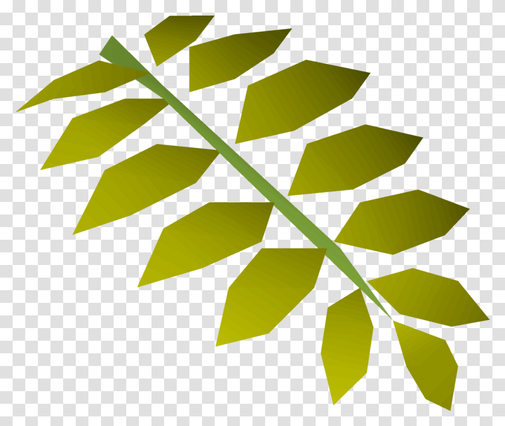 Curry Leaf Osrs Wiki Tree, Plant, Fern Transparent Png