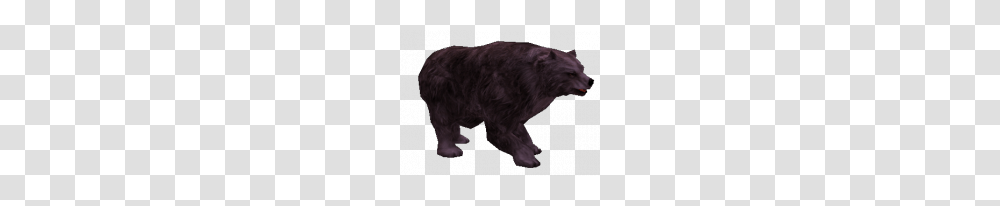 Cursed Grizzly Bear, Mammal, Animal, Wildlife, Wolf Transparent Png