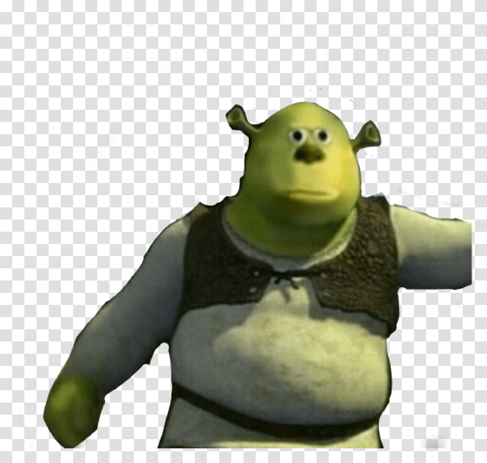 Cursed Meme Shrek Mikewazowsky Mike Wazowski Shrek Mike Wazowski Meme, Person Transparent Png