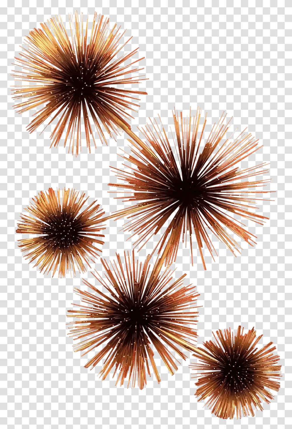 Curtis Jere Pom Or Sea Urchin Wall Sculpture Fireworks, Nature, Outdoors, Night, Photography Transparent Png