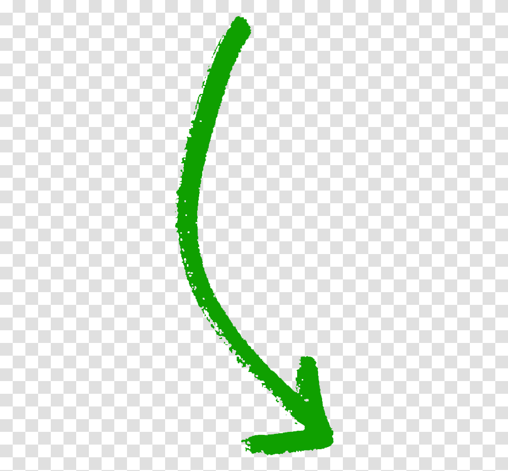 Curved Arrow Right Growth International Volunteer Excursions Clip Art, Plant, Green, Text, Grass Transparent Png