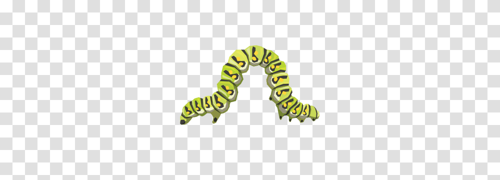 Curved Caterpillar, Worm, Invertebrate, Animal, Person Transparent Png