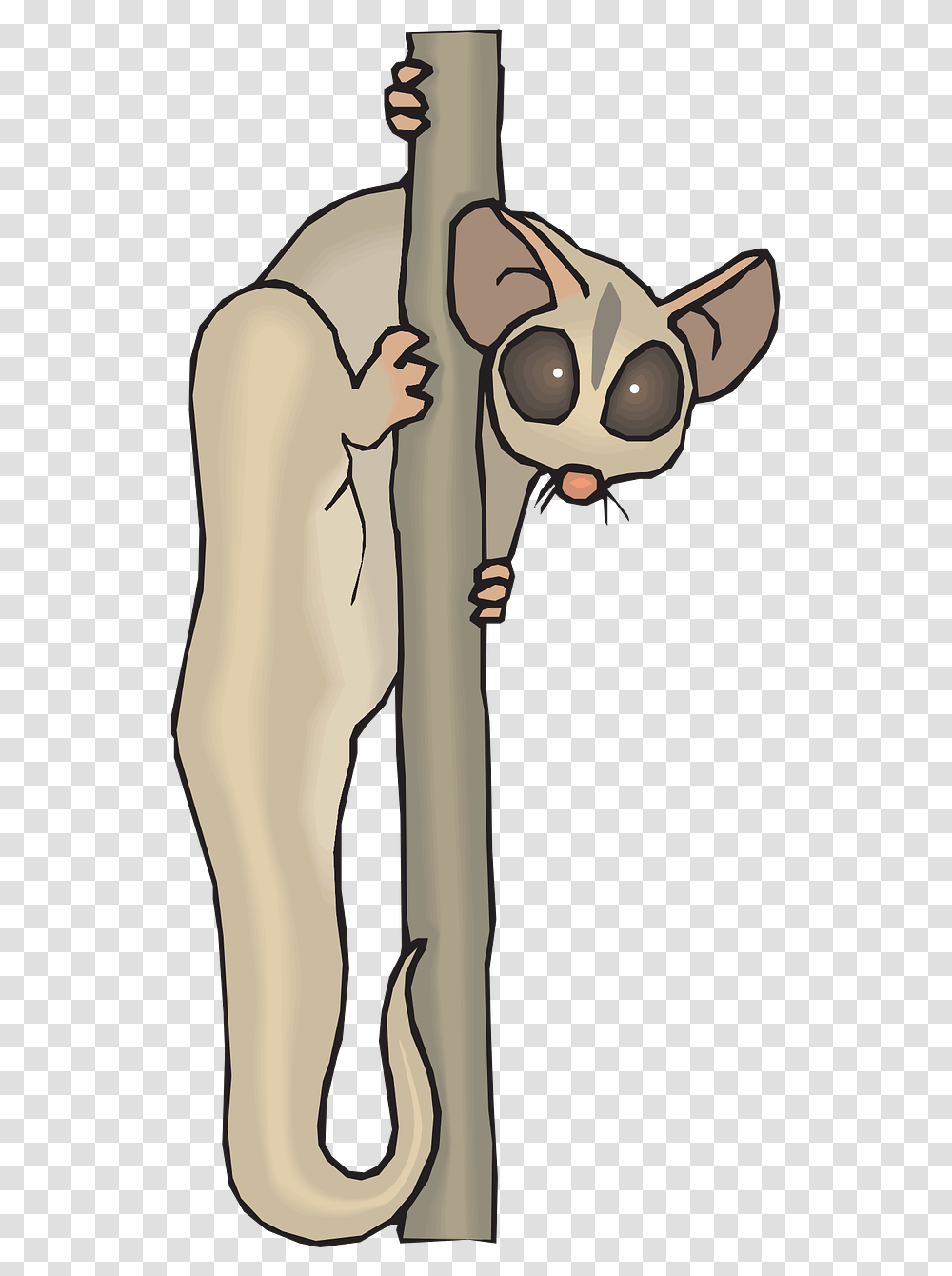 Cuscus Animal Clipart, Face, Alien, Photography, Drawing Transparent Png