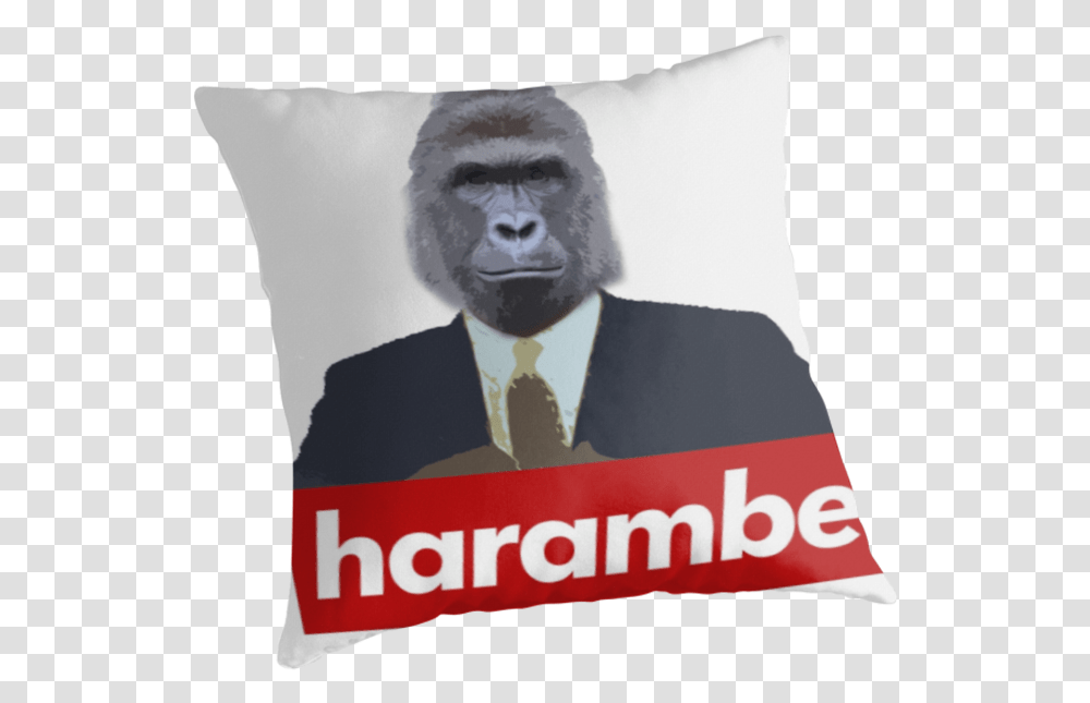 Cushion, Pillow, Ape, Wildlife, Mammal Transparent Png