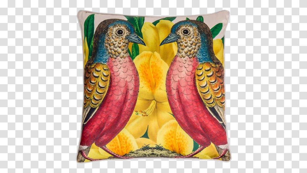 Cushion, Pillow, Bird, Animal Transparent Png