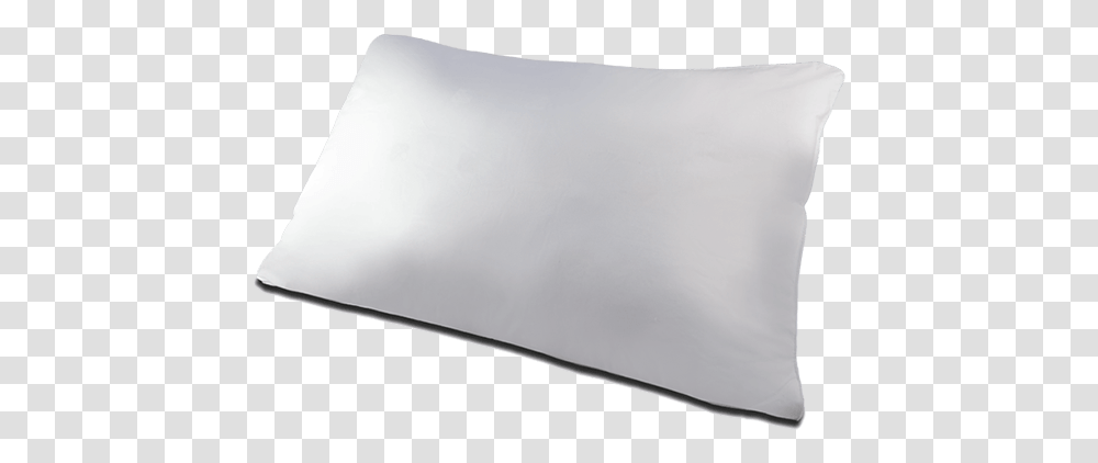 Cushion, Pillow, Petal, Flower, Plant Transparent Png