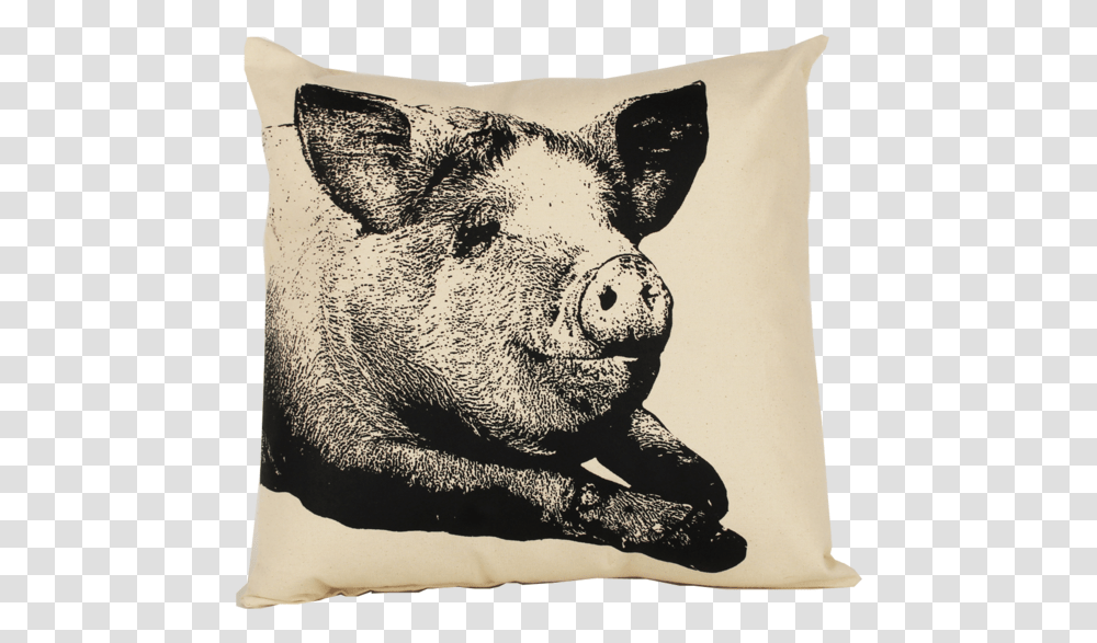 Cushion, Pillow, Pig, Mammal, Animal Transparent Png