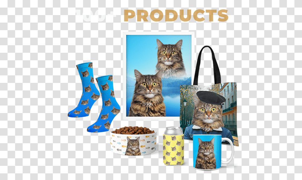 Custom Cat Portraits Cat Supply, Pet, Mammal, Animal, Clothing Transparent Png