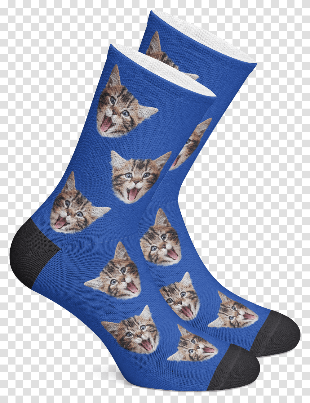 Custom Cat Socks Personalized Socks Pet Photo Socks Custom Socks, Mammal, Animal, Stocking Transparent Png
