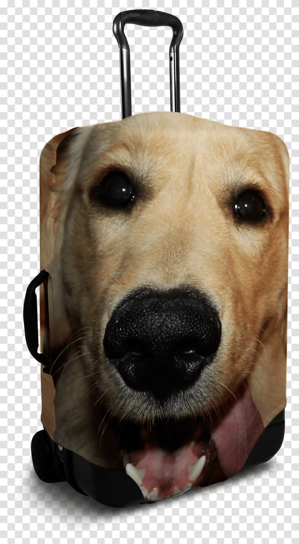 Custom Dog Face Luggage Cover Sushi Suitcase Cover Transparent Png