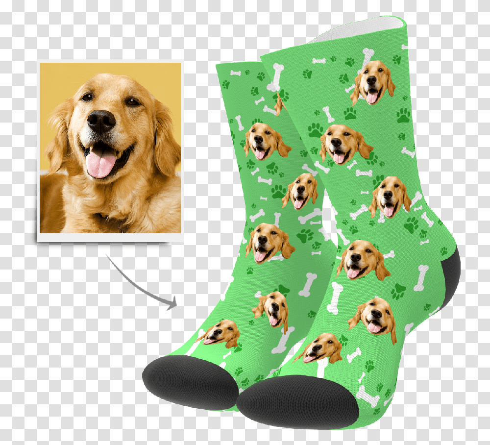 Custom Dog Socks Put Any Face On Socks Myphotosocks Socks With Dog Face, Stocking, Pet, Canine, Animal Transparent Png
