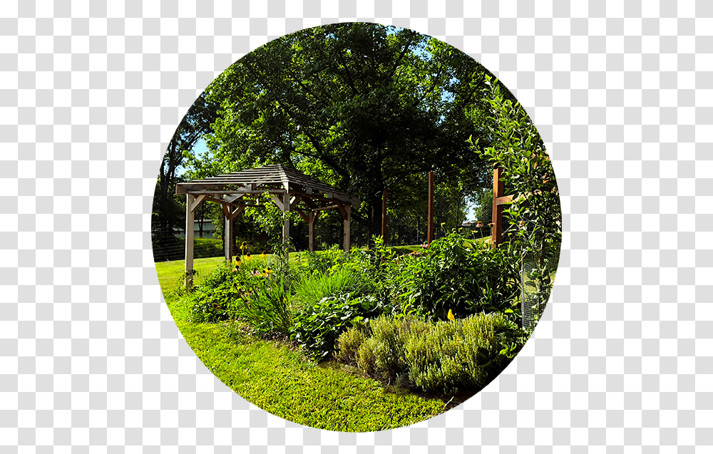 Custom Foodscaping Shade, Outdoors, Garden, Porch, Arbour Transparent Png
