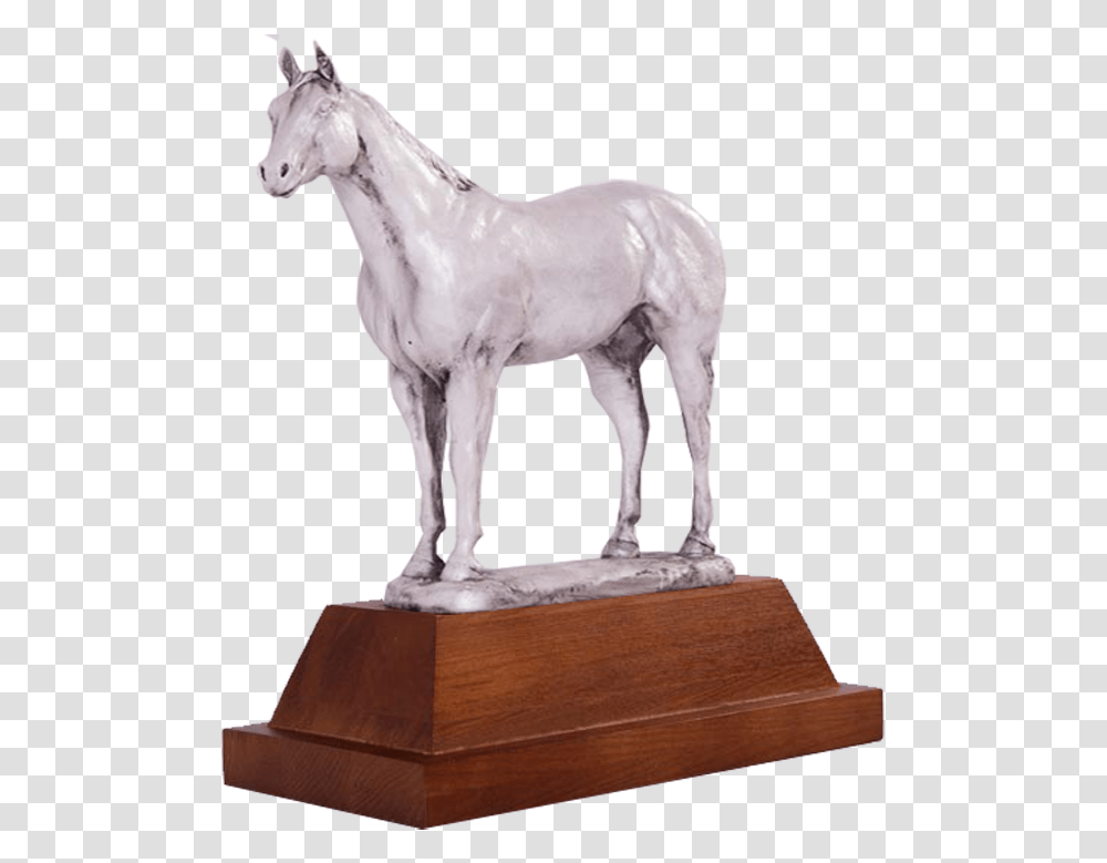 Custom Horse Show Trophies, Mammal, Animal, Sculpture Transparent Png