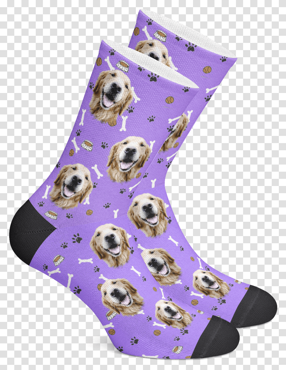 Custom Puppy Socks Custom Socks Personalized Socks Custom Cat Socks, Stocking, Honey Bee, Insect, Invertebrate Transparent Png