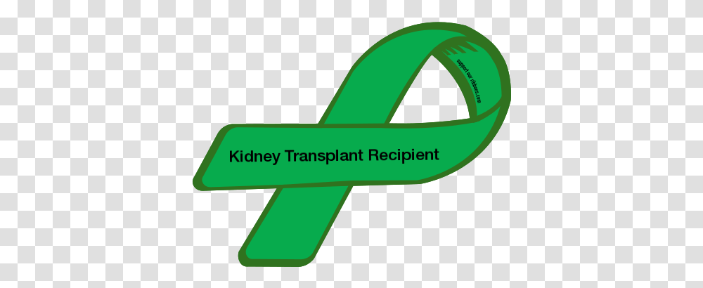 Custom Ribbon Kidney Transplant Recipie 1949104 Kidney Transplant Recipient, Transportation, Text, Vehicle, Symbol Transparent Png