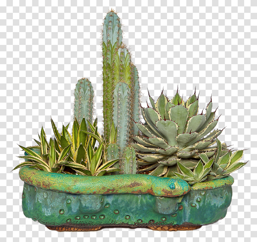 Custom Specialty Pottery And Vases For Cactus And Succulents, Plant, Aloe, Wedding Cake, Dessert Transparent Png