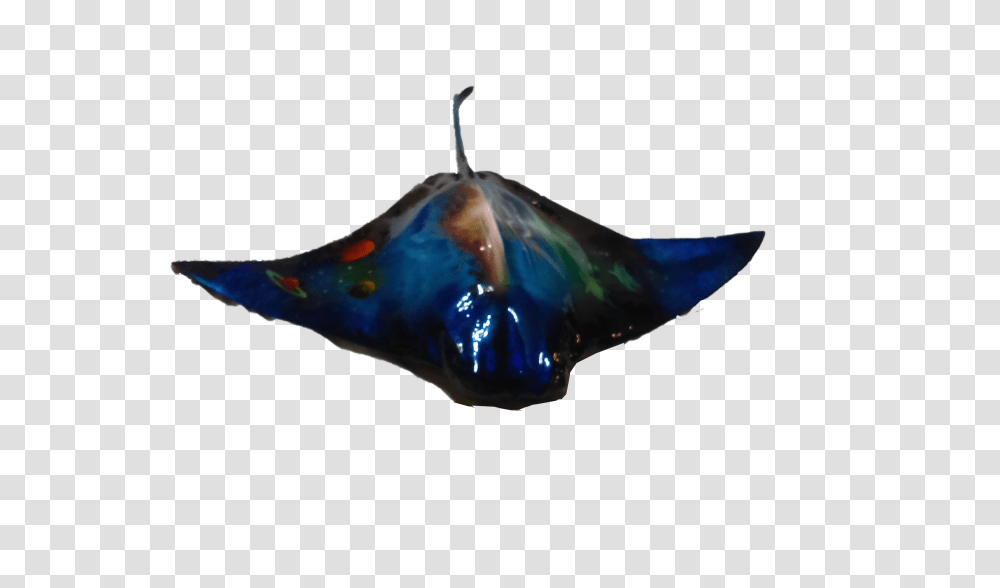 Custom Stingray Replica Fish Mount With Waves Sunset And Planets, Sea Life, Animal, Gemstone, Jewelry Transparent Png