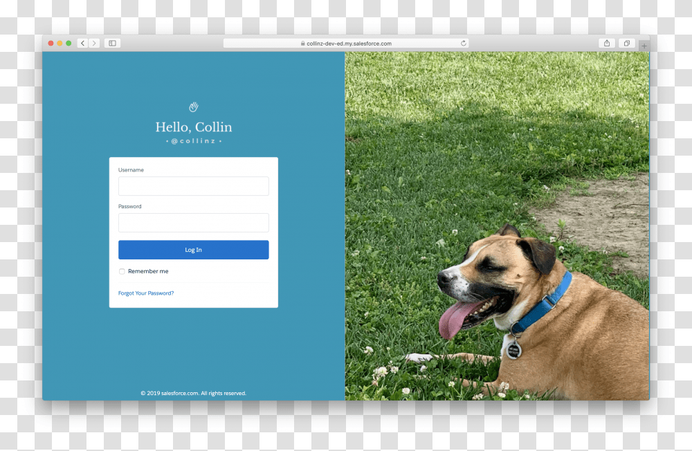 Customize Login Transparent Png