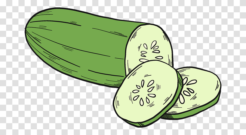 Cut Cucumber Clipart, Plant, Vegetable, Food, Melon Transparent Png
