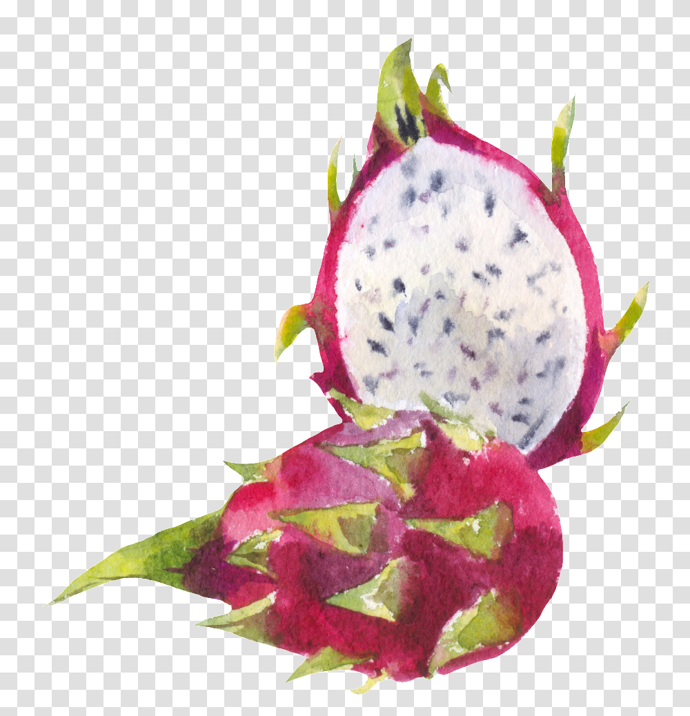 Cut Dragon Fruit Dragonfruit, Plant, Leaf, Flower, Blossom Transparent Png