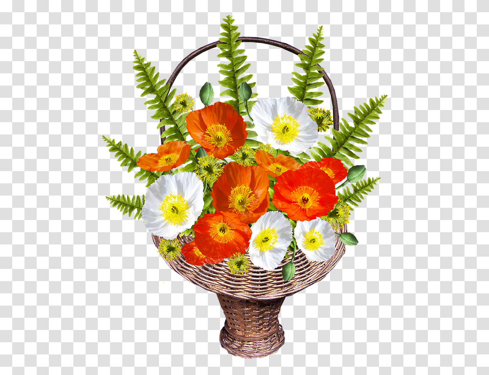 Cut Flowers, Plant, Blossom, Flower Arrangement, Flower Bouquet Transparent Png