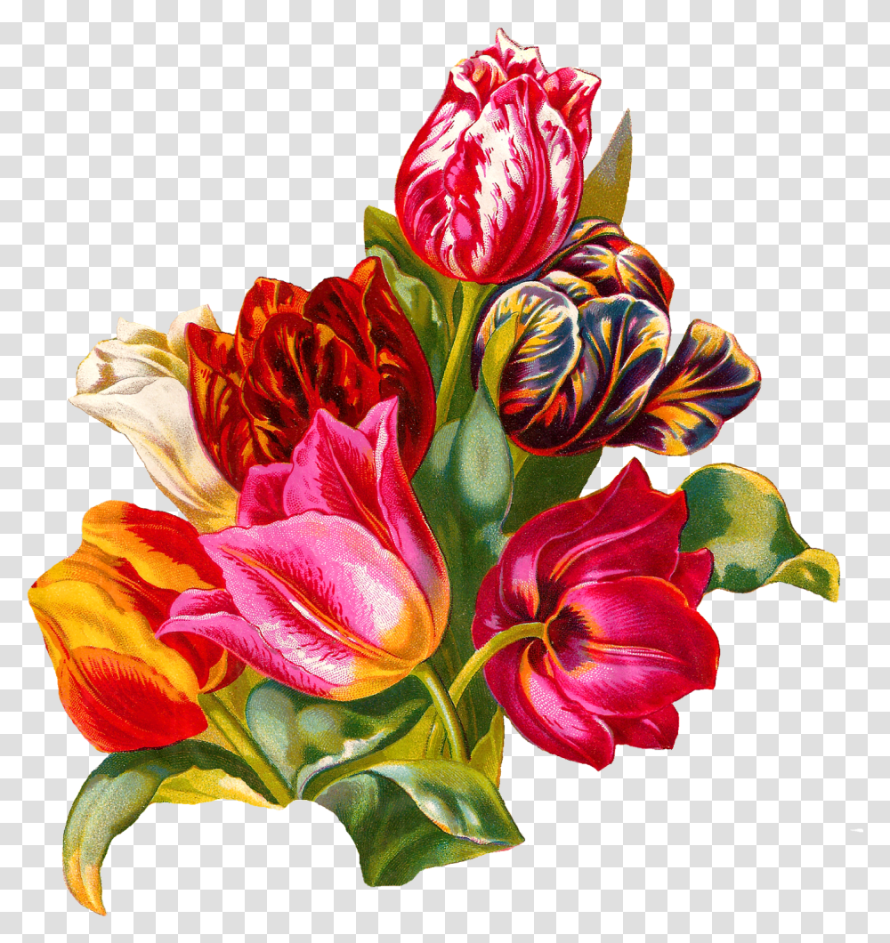 Cut Flowers, Plant, Blossom, Flower Arrangement, Flower Bouquet Transparent Png