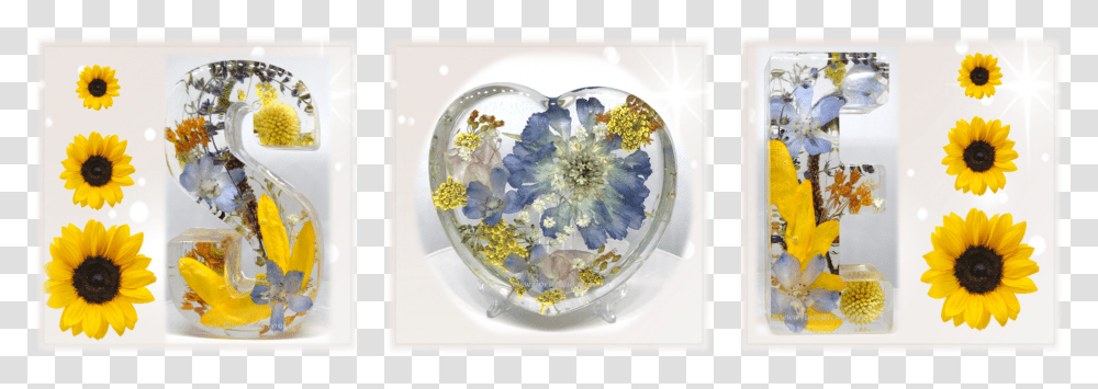 Cut Flowers, Porcelain, Pottery, Accessories Transparent Png