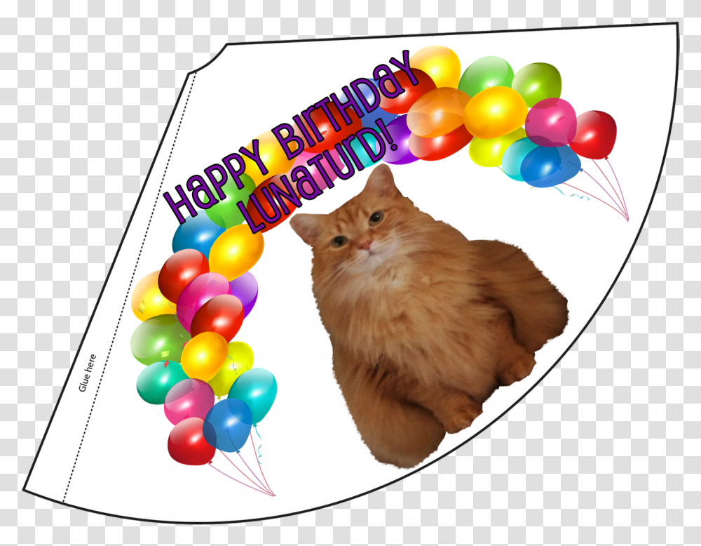 Cut Out Birthday Hats, Balloon, Cat, Pet, Animal Transparent Png