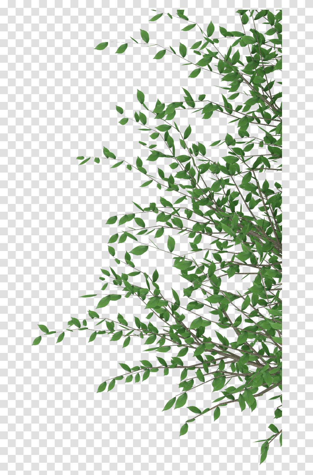 Cut Out Photoshop Download Cut Out Photoshop, Tree, Plant Transparent Png