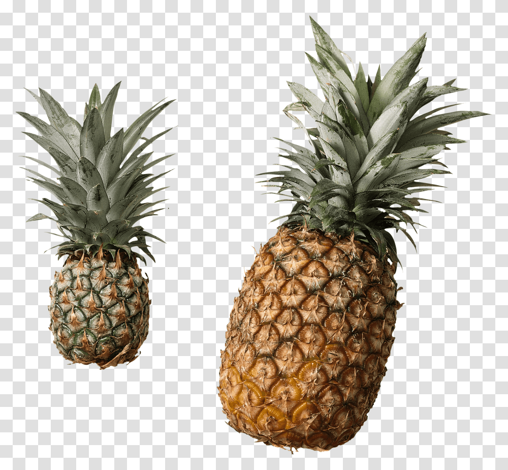 Cut Pineapple Stickpng Does A Good Pineapple Look Like, Plant, Fruit, Food Transparent Png