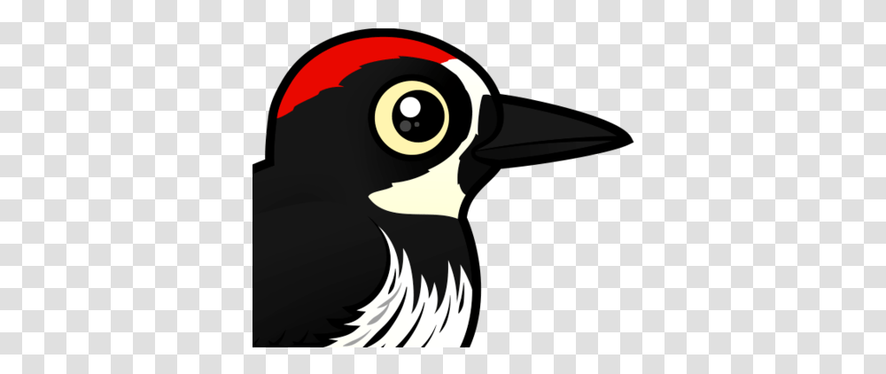 Cute Acorn Woodpecker < Meet The Birds Birdorable Clip Art Acorn Woodpecker, Beak, Animal, Magpie, Blackbird Transparent Png