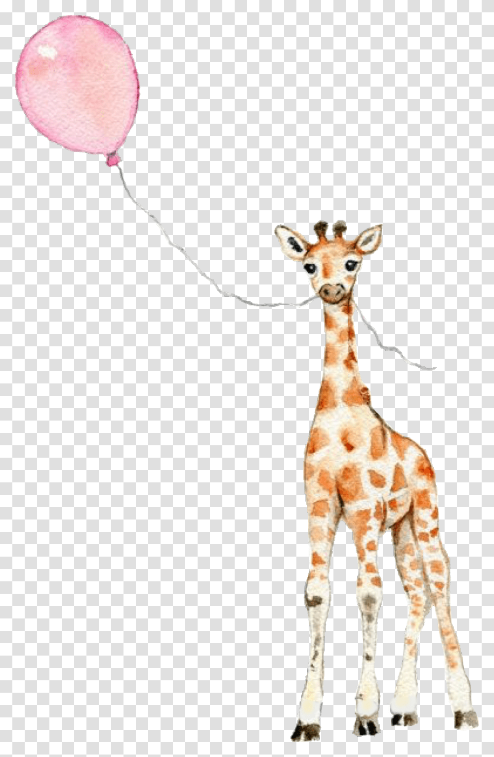 Cute Adorable Giraffe Balloon Scgiraffe Giraffe With Balloon Painting, Wildlife, Mammal, Animal, Toy Transparent Png