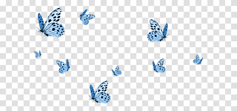 Cute Aesthetic Tumblr Butterflies Butterfly Blue Flying Butterfly Hd, Animal Transparent Png