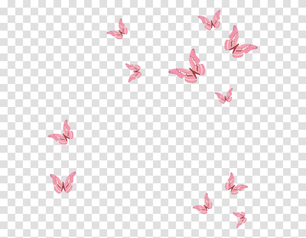 Cute Aesthetic Tumblr Butterflies Butterfly Pink, Petal, Flower, Plant, Blossom Transparent Png