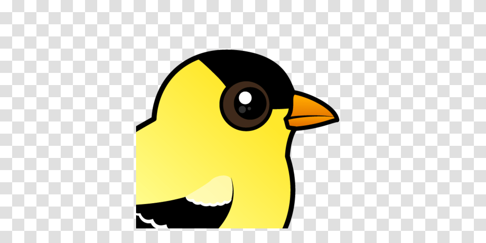 Cute American Goldfinch, Animal, Bird, Duck Transparent Png