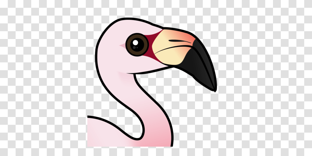 Cute Andean Flamingo Lt Meet The Birds Lt Birdorable, Beak, Animal, Blow Dryer, Appliance Transparent Png