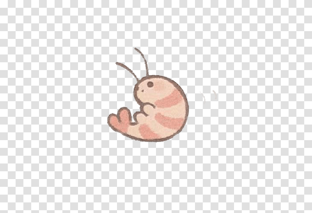 Cute Animal Image, Invertebrate, Insect, Crib, Furniture Transparent Png