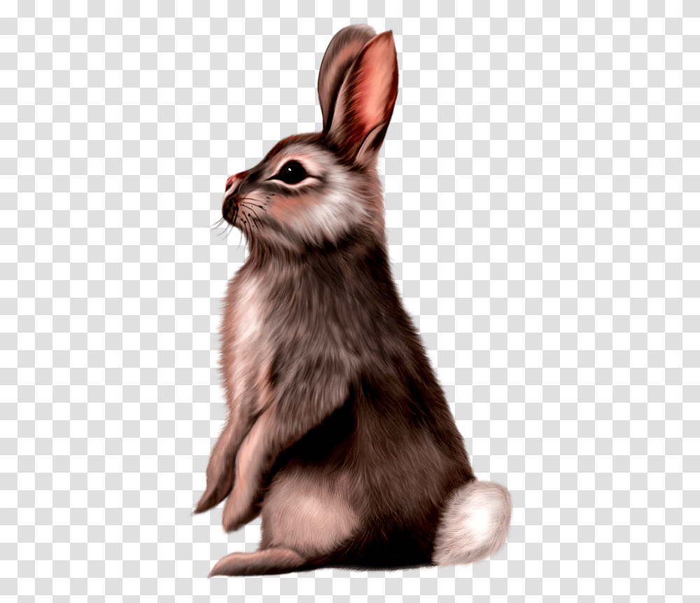 Cute Animals Rabbit Painting, Dog, Pet, Canine, Mammal Transparent Png