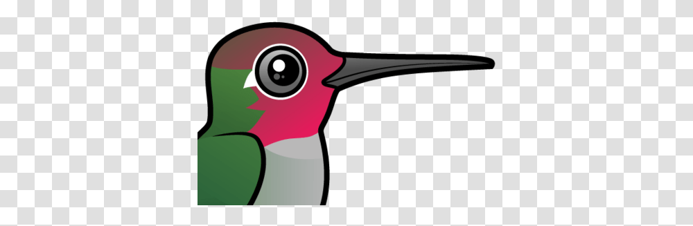 Cute Anna's Hummingbird By Birdorable < Meet The Birds Birdorable Hummingbird, Beak, Animal, Blow Dryer, Appliance Transparent Png