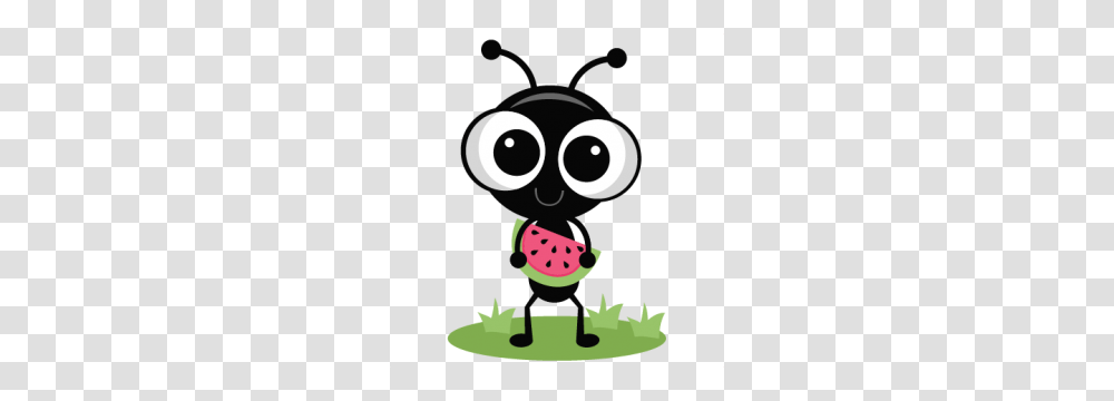 Cute Ant Cute Ant Images, Plant, Fruit, Food, Watermelon Transparent Png