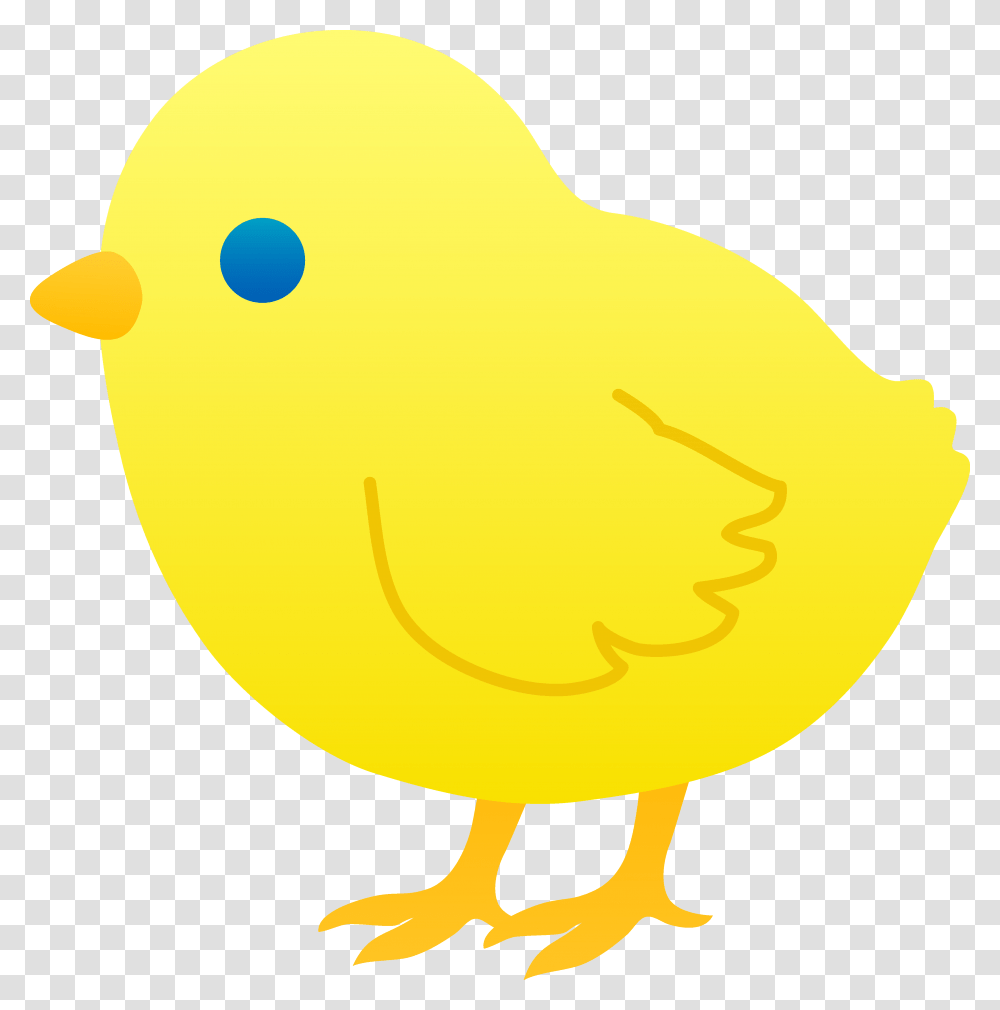 Cute Baby Chick Chicks Baby Chicks Clip Art And Baby, Tennis Ball, Sport, Sports, Bird Transparent Png
