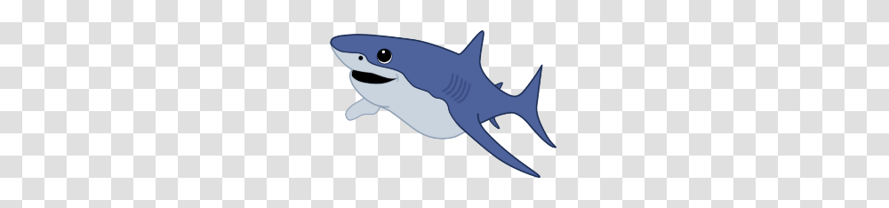 Cute Baby Shark Clipart Free Clipart, Sea Life, Fish, Animal, Great White Shark Transparent Png