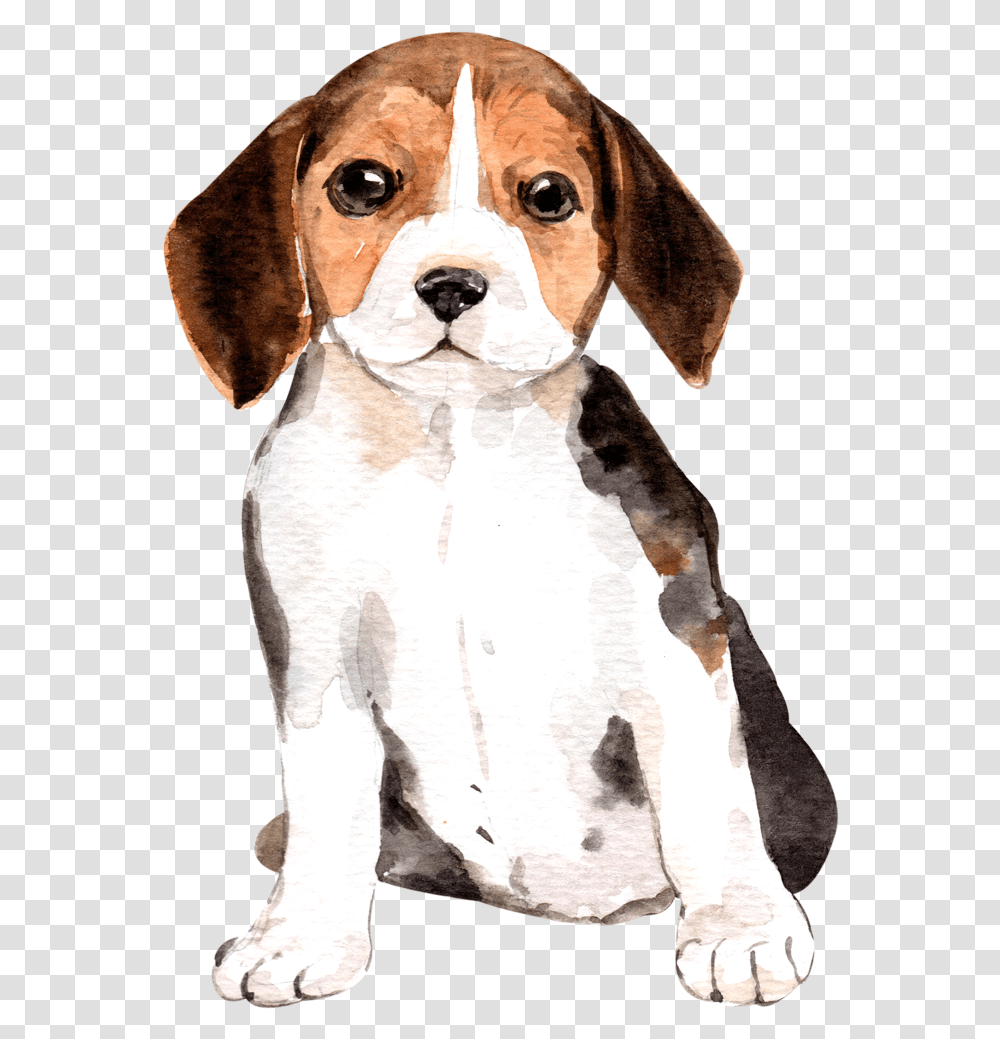 Cute Beagle Watercolor, Hound, Dog, Pet, Canine Transparent Png