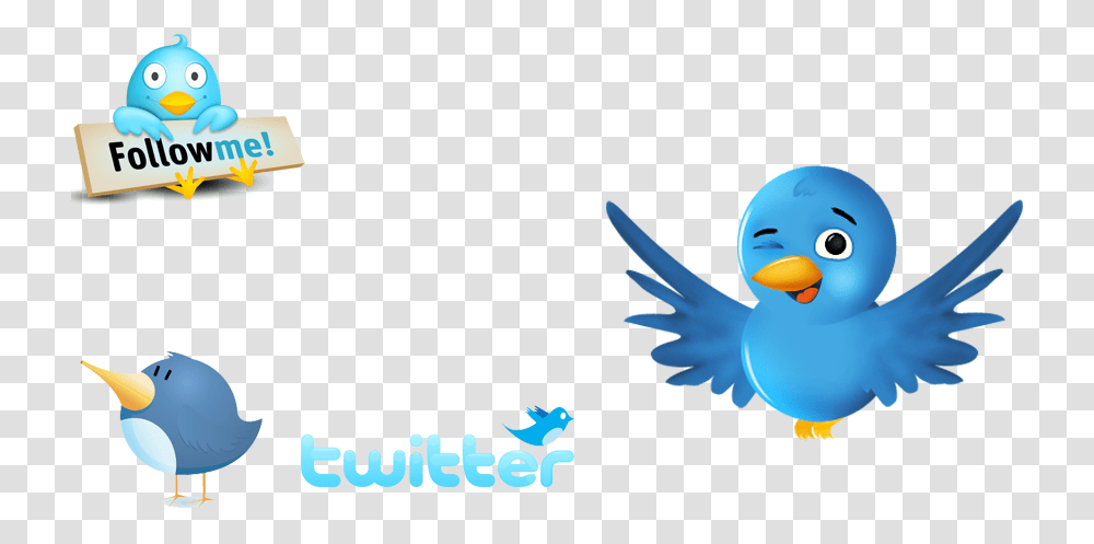 Cute Bird Background Download Follow Me On Twitter, Jay, Animal, Blue Jay, Flying Transparent Png