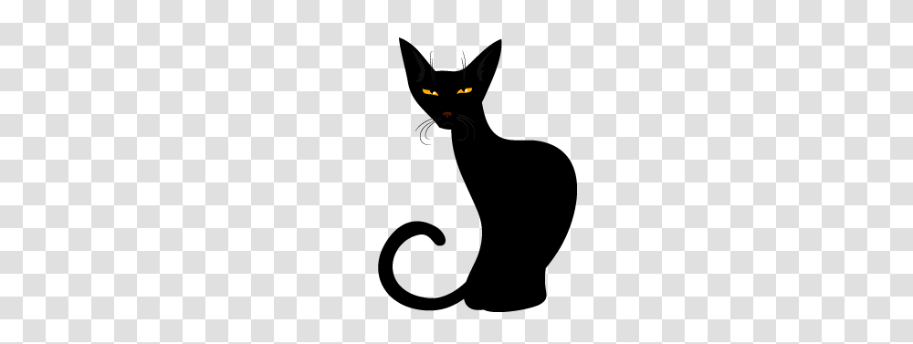 Cute Black Cat Clipart Free Clipart, Pet, Mammal, Animal, Angora Transparent Png