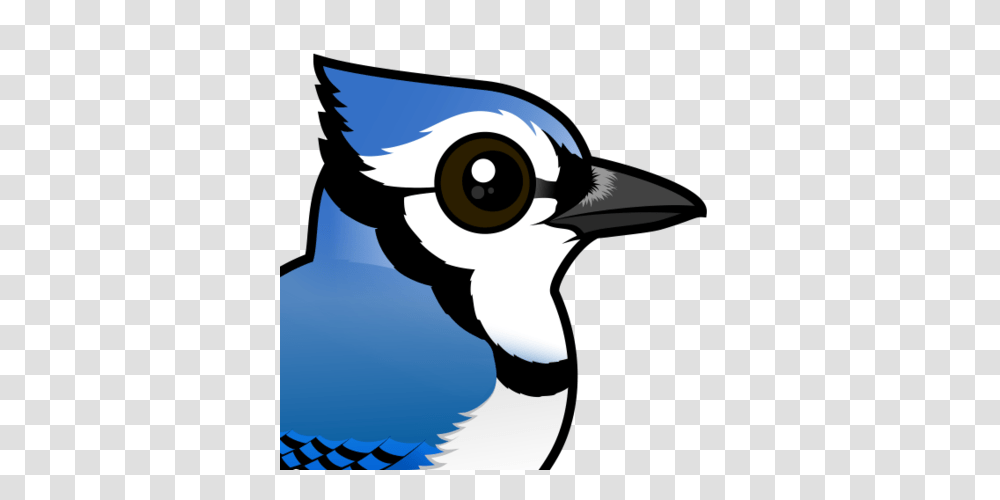 Cute Blue Jay, Bird, Animal, Bluebird Transparent Png