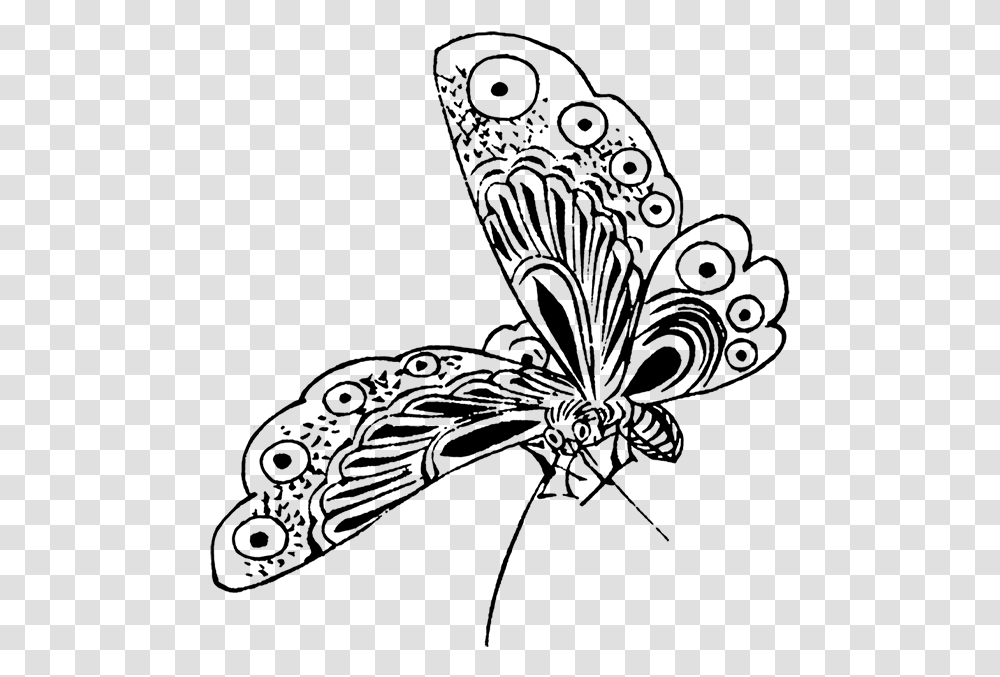 Cute Butterfly Clipart Black And White Butterfly Sketch, Invertebrate, Animal, Insect, Dragonfly Transparent Png