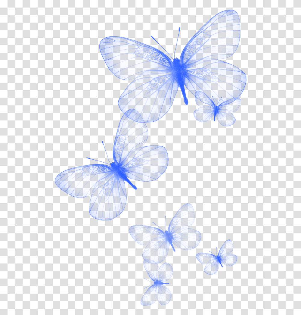 Cute Butterfly, Silhouette, Outdoors, Animal, Nature Transparent Png