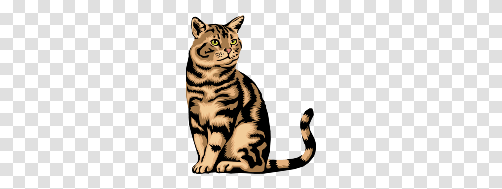 Cute Calico Cat Clipart, Tiger, Wildlife, Mammal, Animal Transparent Png